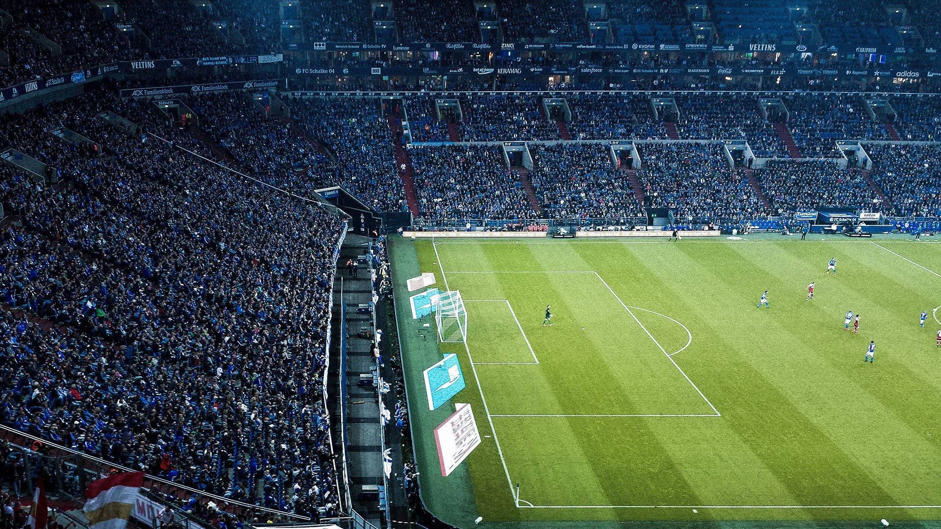 开云体育官方网站-女子混合泳荷兰选手均衡发展，女子混合泳世界纪录